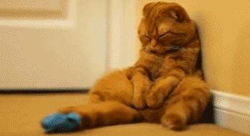 每天早晚各30分钟超燃脂,每天20分钟燃脂一整天