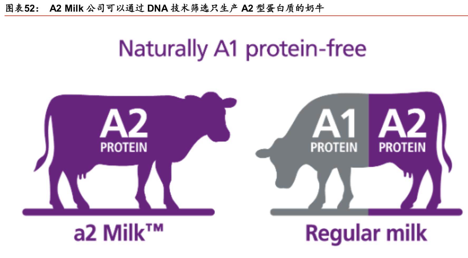 中国乳制品行业报告,中国乳制品行业分析报告