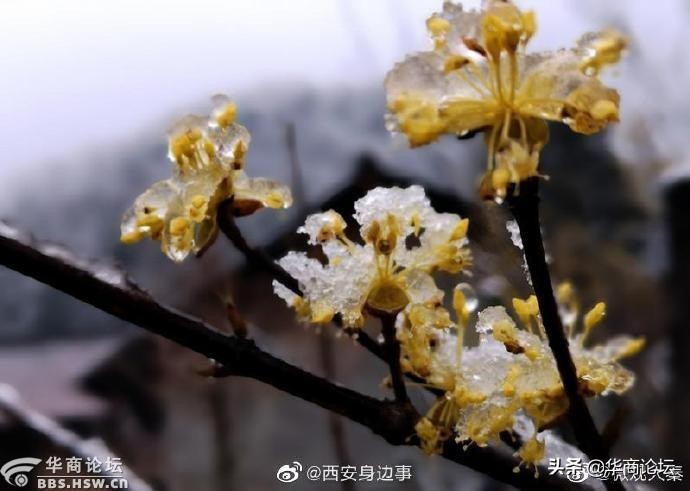 陕西13岁女孩遭姑父暴打,平利一女生遭猥亵