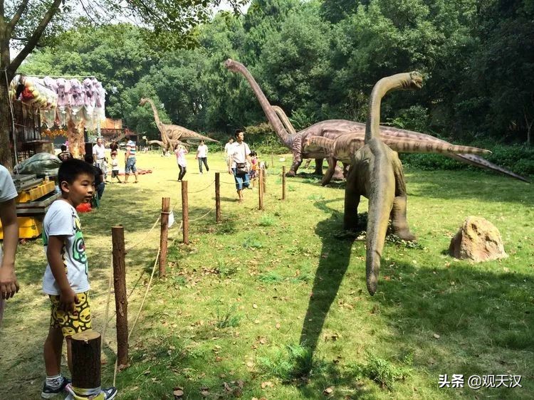 汉中恐龙乐园免费地点,汉中恐龙乐园门票