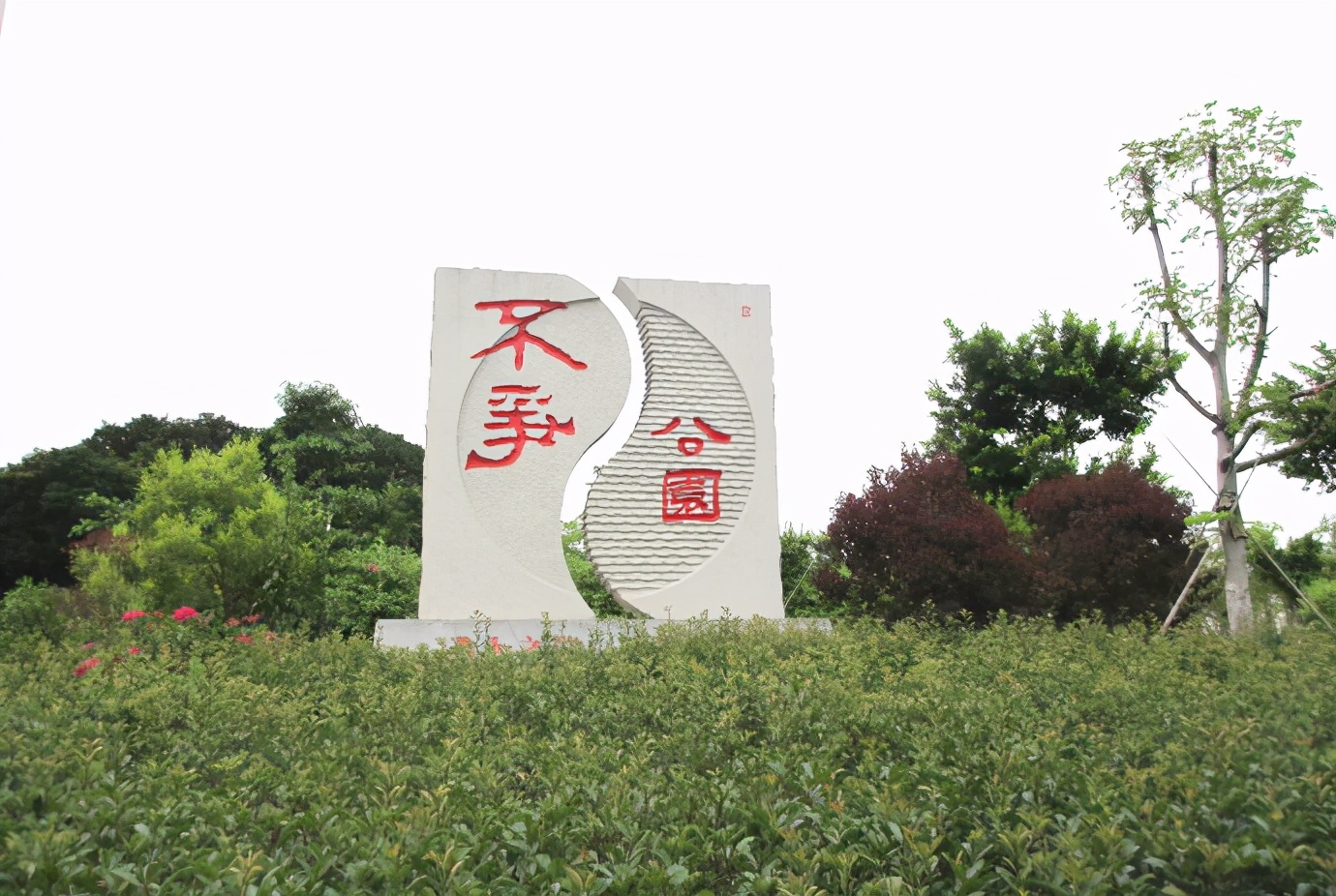 *光春**正好，快来搭乘开往春天的brt~