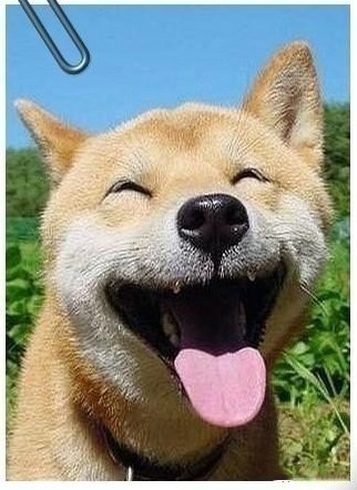 索菲亚定制家居创业,索菲亚家居定制套路