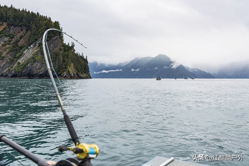 海钓钓鱼方法与技巧,蚝排海钓沉底钓鱼技巧