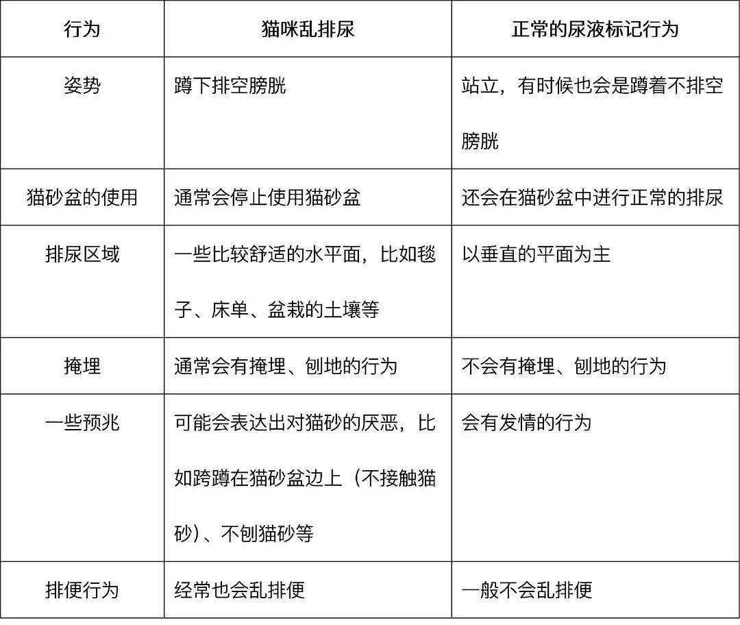 猫咪随地大小便还呕吐是什么原因,猫咪突然随地大小便是怎么回事