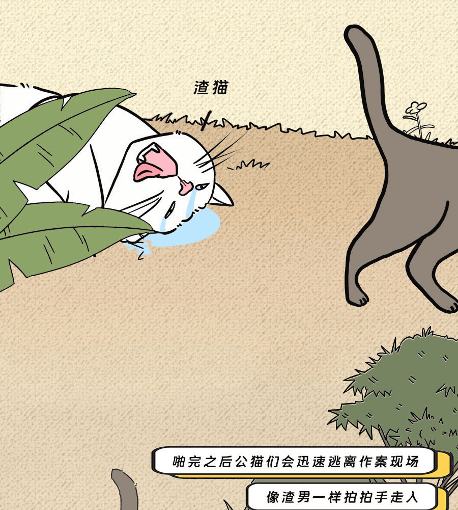 论啪啪啪,人类可比不上它们……