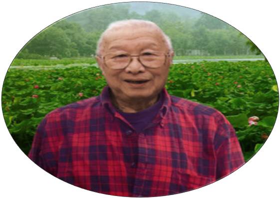 小学语文课外阅读知识怎么积累,小学语文灵活性强的练习册