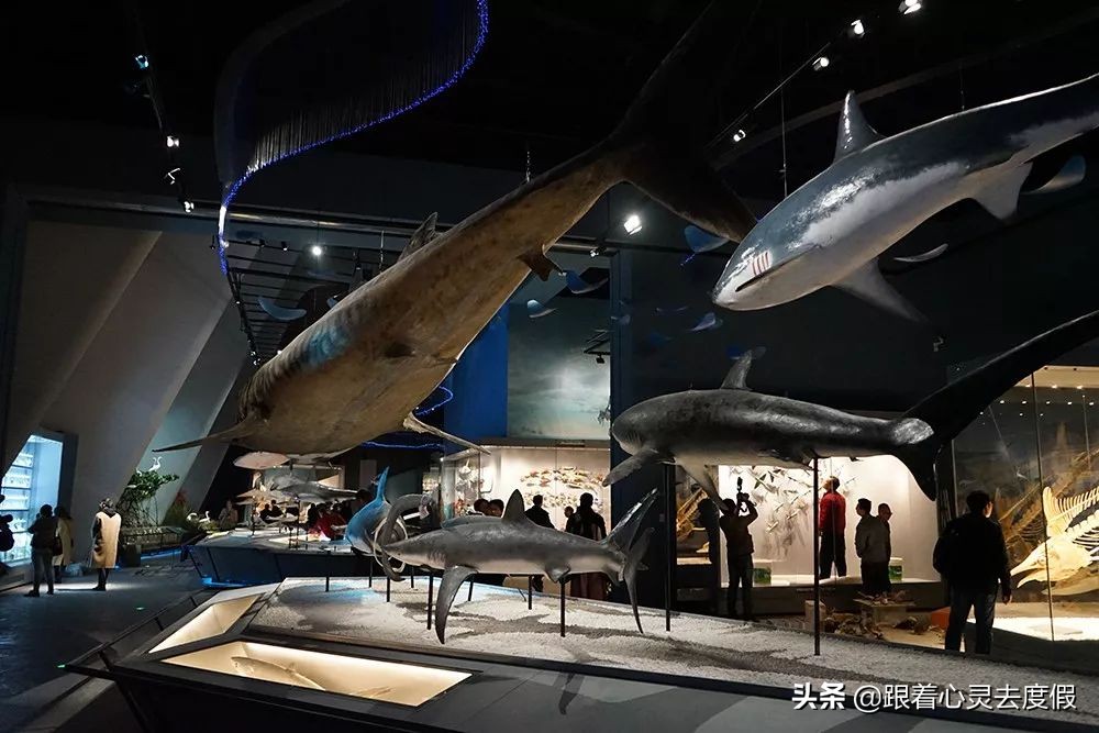 故宫的建设介绍,故宫的地理位置和基本现状