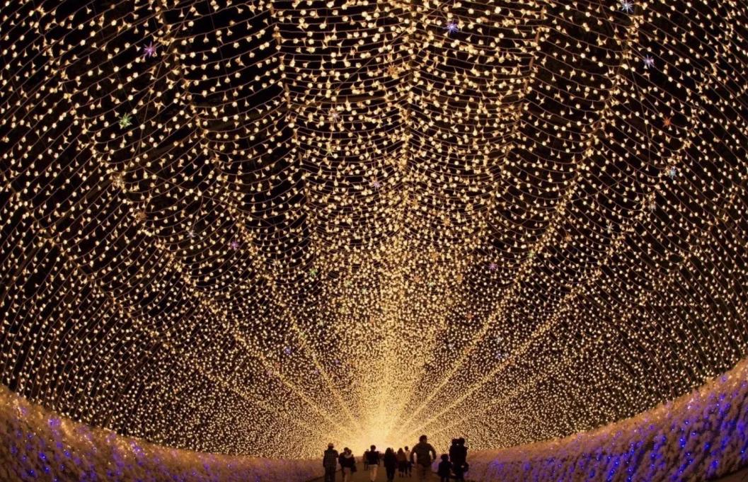 不一样的旅行完整版视频,不一样的旅行全集视频