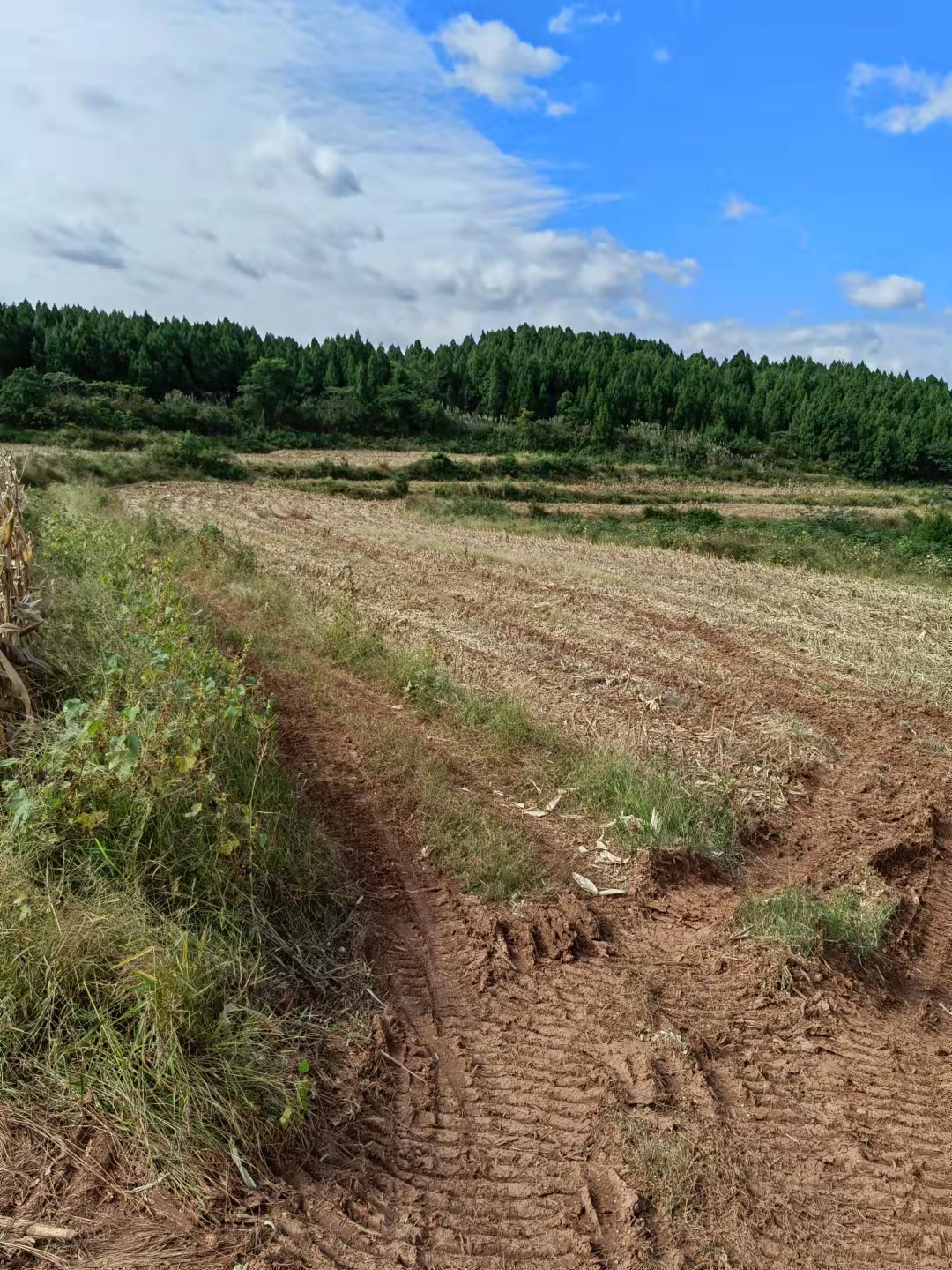 丘陵如何实现机械化,坡地如何用机械耕种
