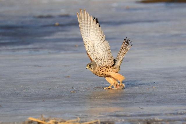 它说吉他前奏,她说钢琴伴奏和弦