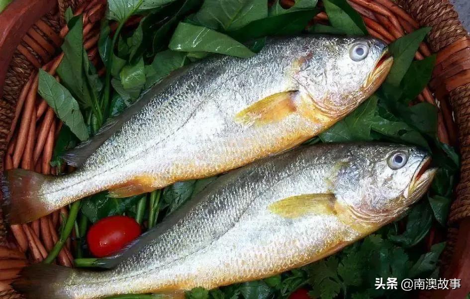 南澳渔民捕鱼视频,南澳渔民出海