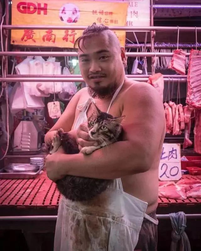 全网都以为复旦大学的猫被偷了，几天后…气得想骂猫