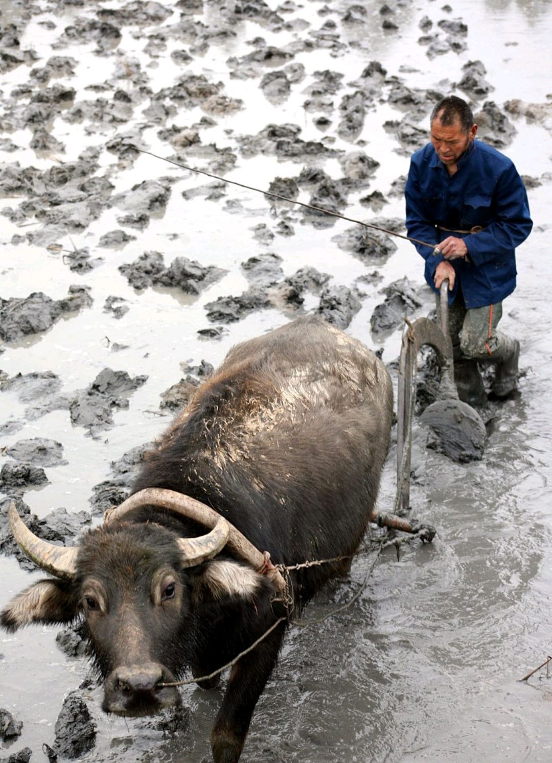 春耕进行时到处是一片繁忙的景象,春耕一般在什么时候