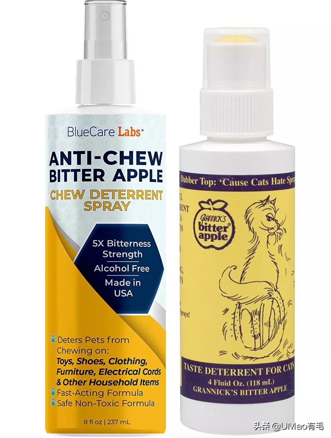 不许猫咪咬东西,不要溺爱猫咪