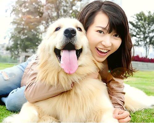 狗狗的寿命,哪些方式会缩短狗的寿命