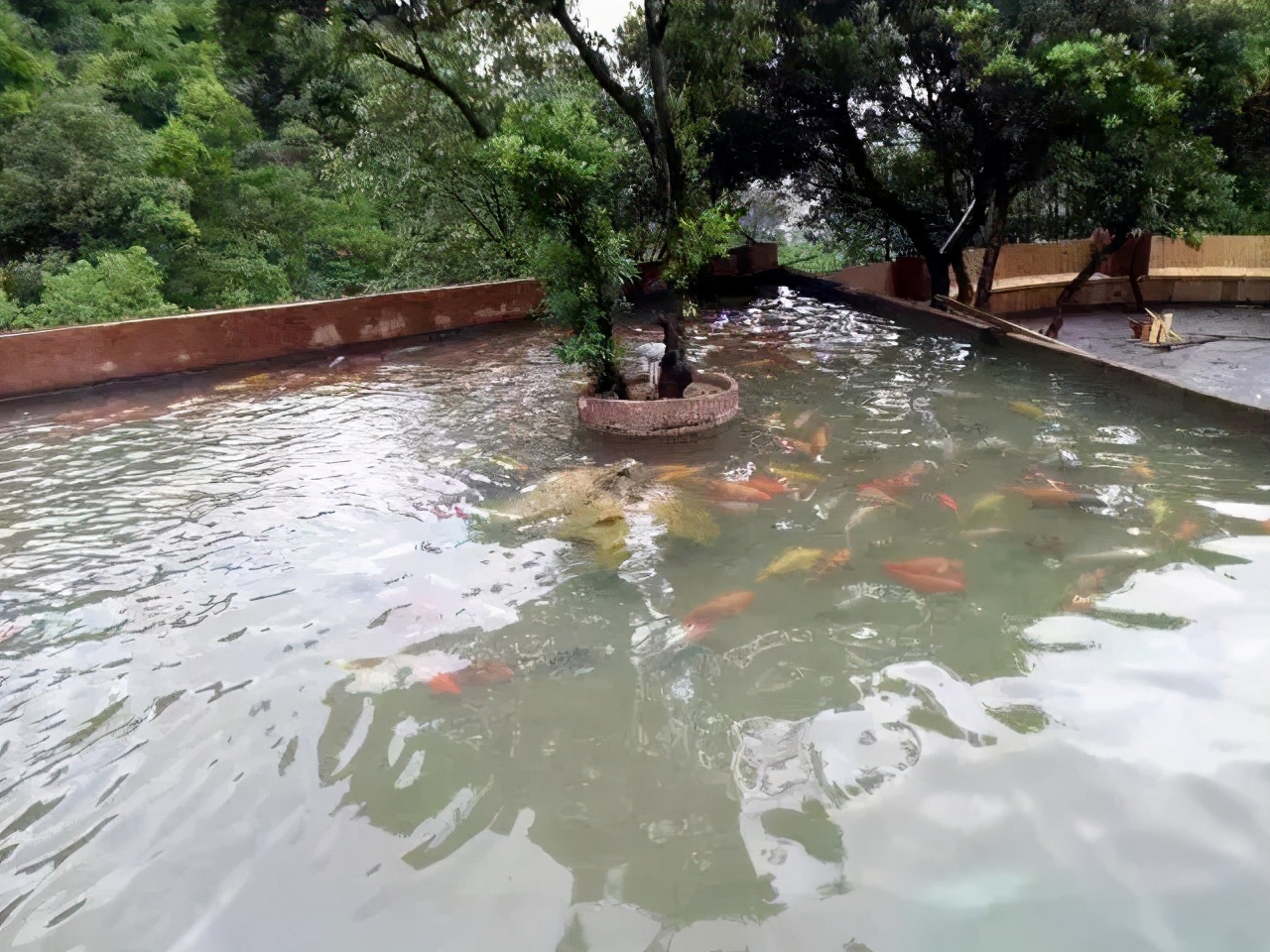 温州好玩的地方推荐吹台山公园,温州吹台山森林民宿门票