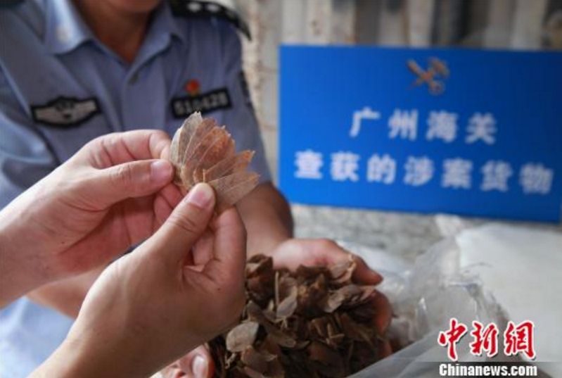 澳洲回国探亲带什么礼物,回国探亲可以带多少礼品