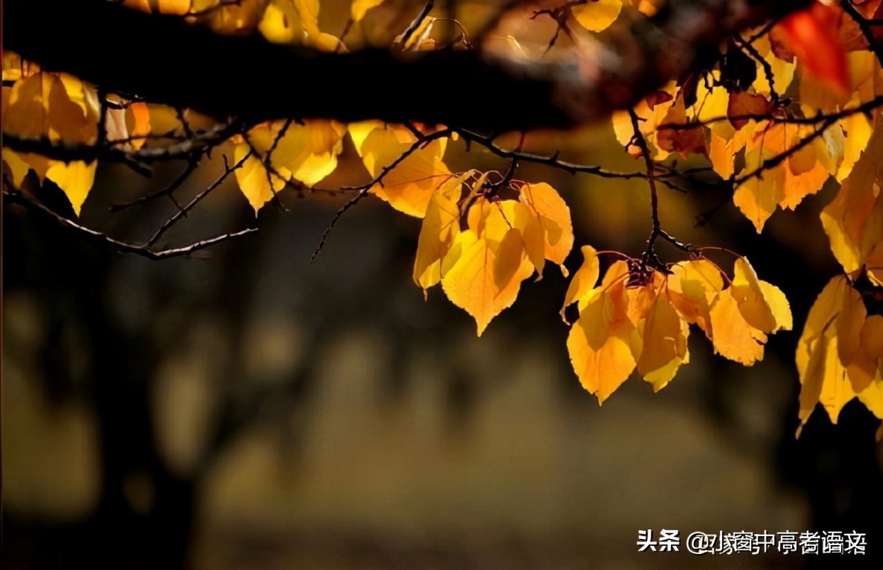 中考语文常考180个文言实词,高考语文120个文言实词