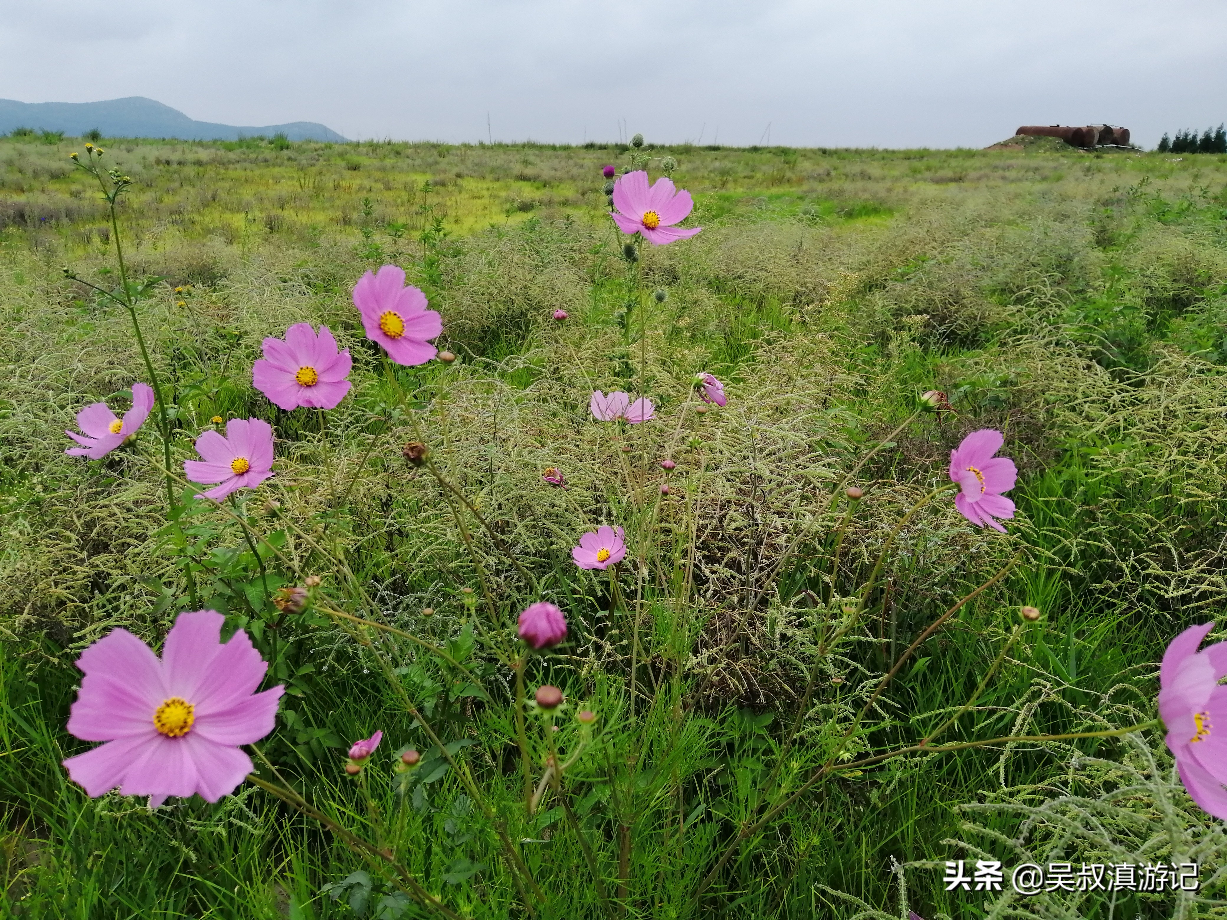 寻找奇石的亲身经历,寻找石盆寺视频