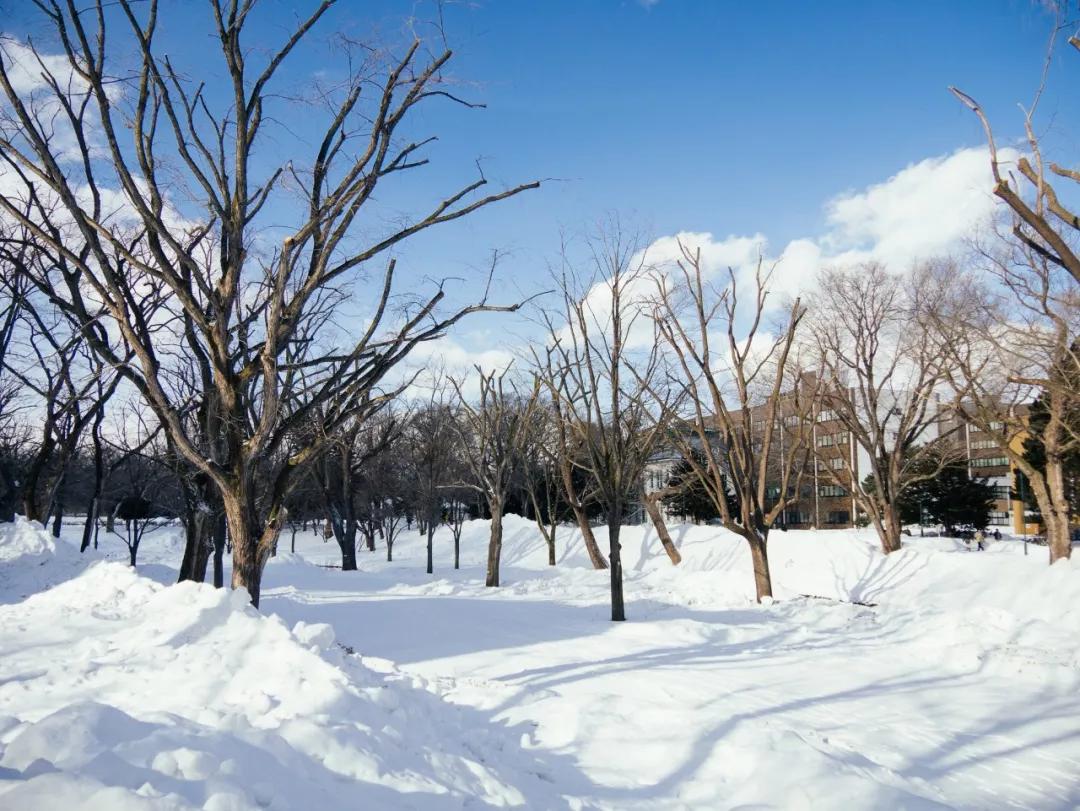 北海道十日游路线,夏日北海道9天自由行