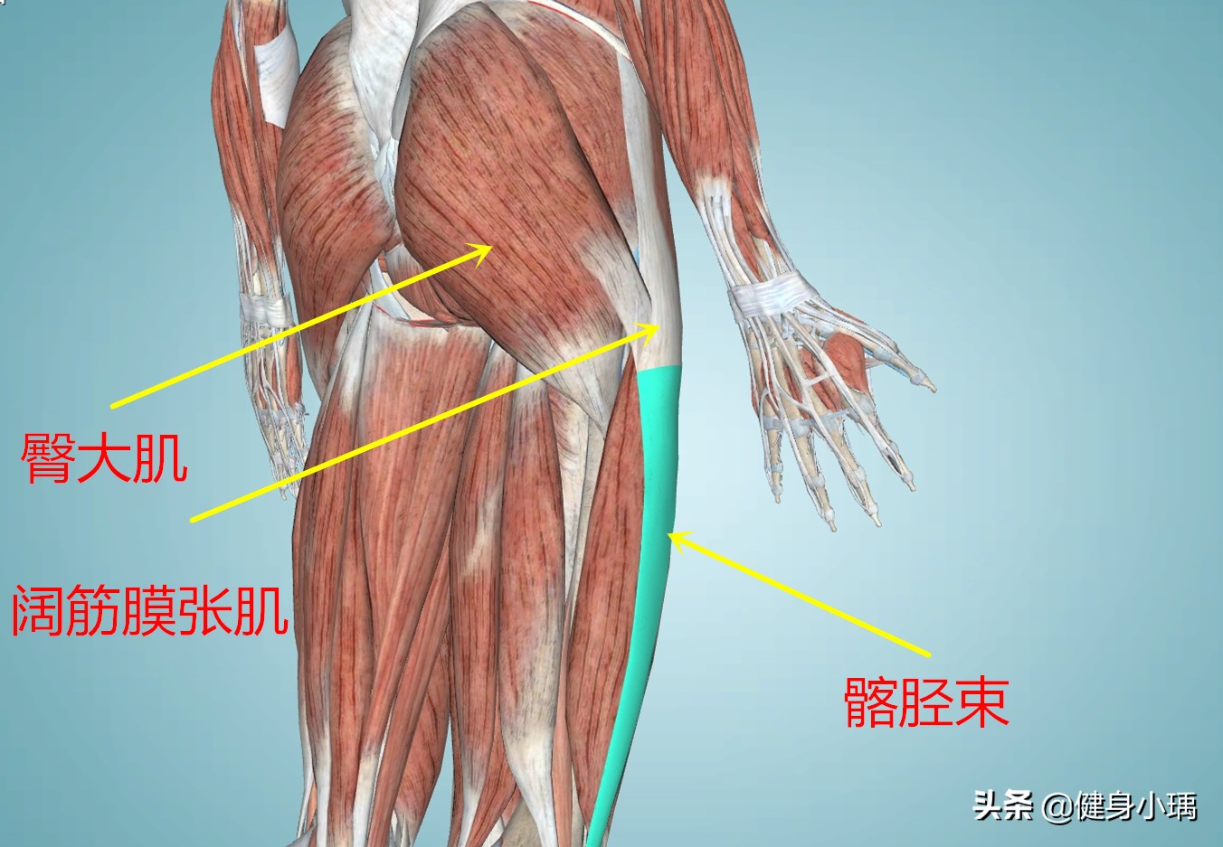 膝关节外侧疼痛用什么药,膝关节外部筋疼痛怎么办