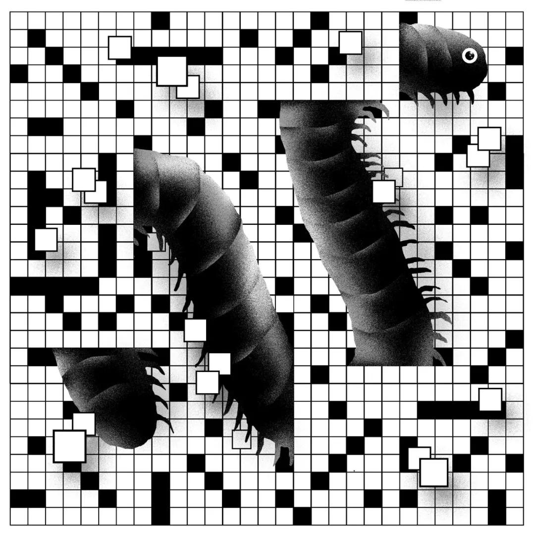 纽约时报去年的文章,纽约时报年度最佳图书