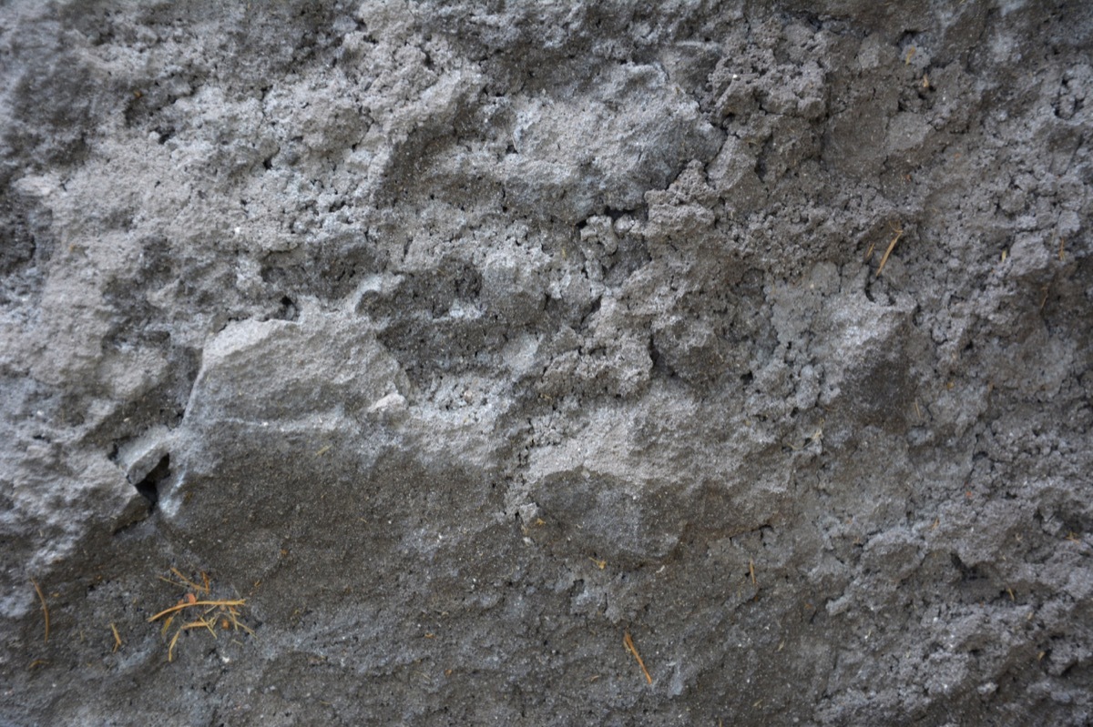 设计师福利模板,设计师必备100件用品
