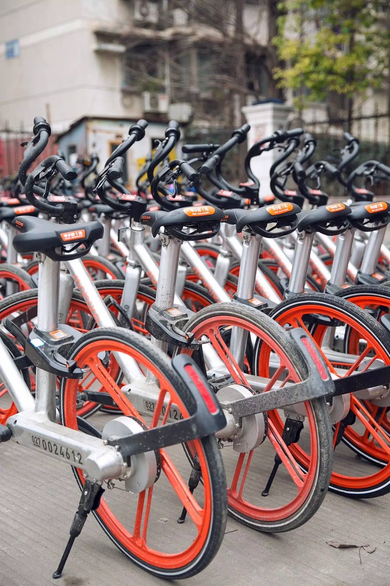 摩拜单车运维员,武汉单车运维司机