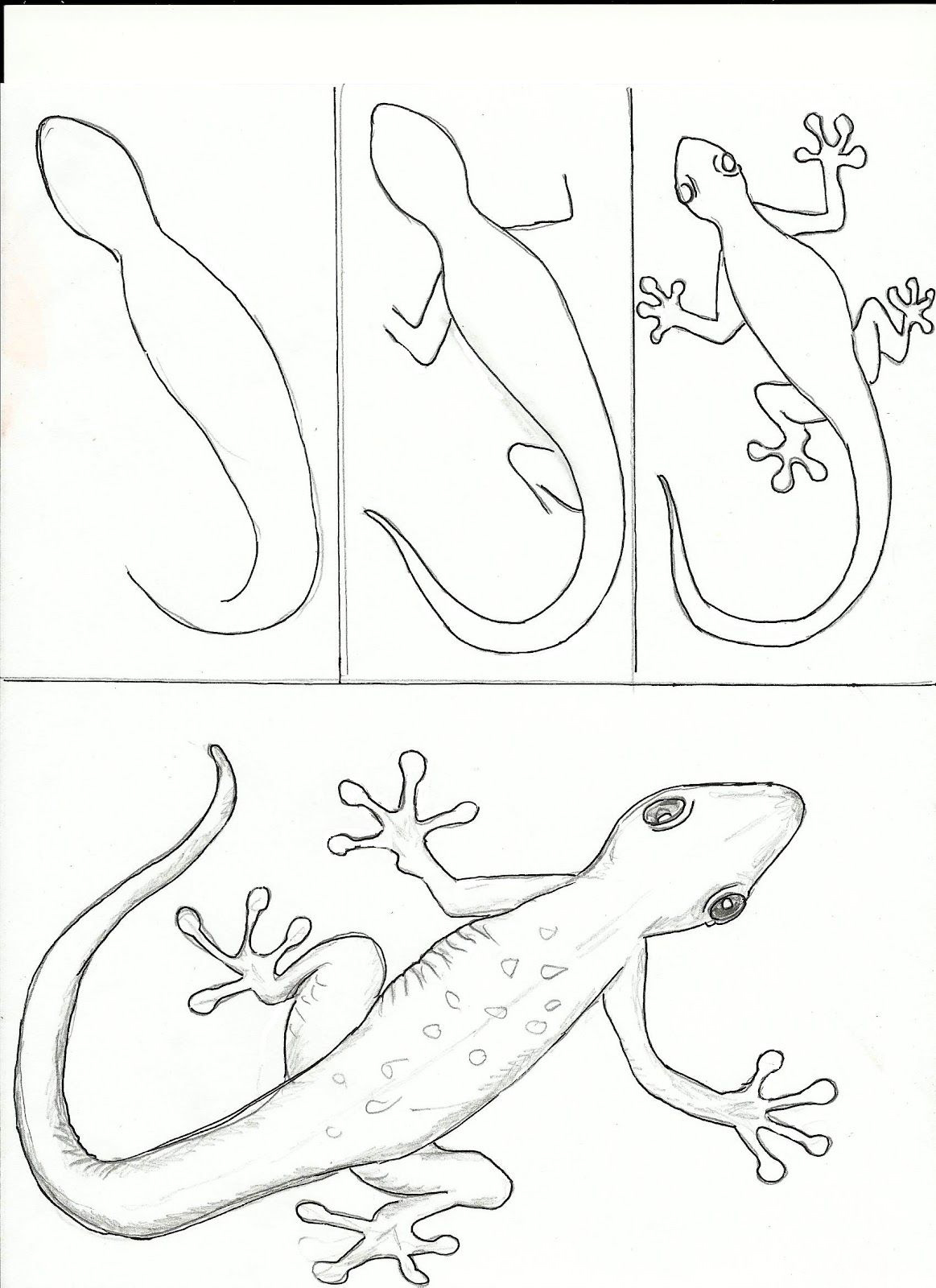 可爱的动物怎么画卡通简单又漂亮,画简单可爱的卡通动物教程