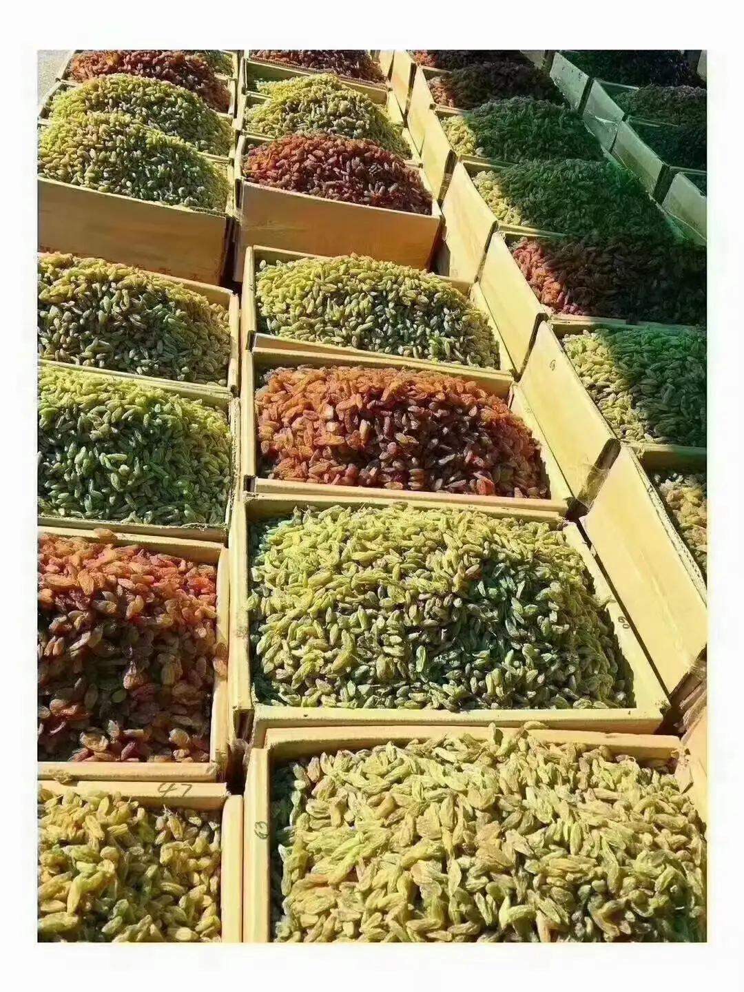 鐤嗘灉鏂版灉鐗逛骇,鏂扮枂骞叉灉