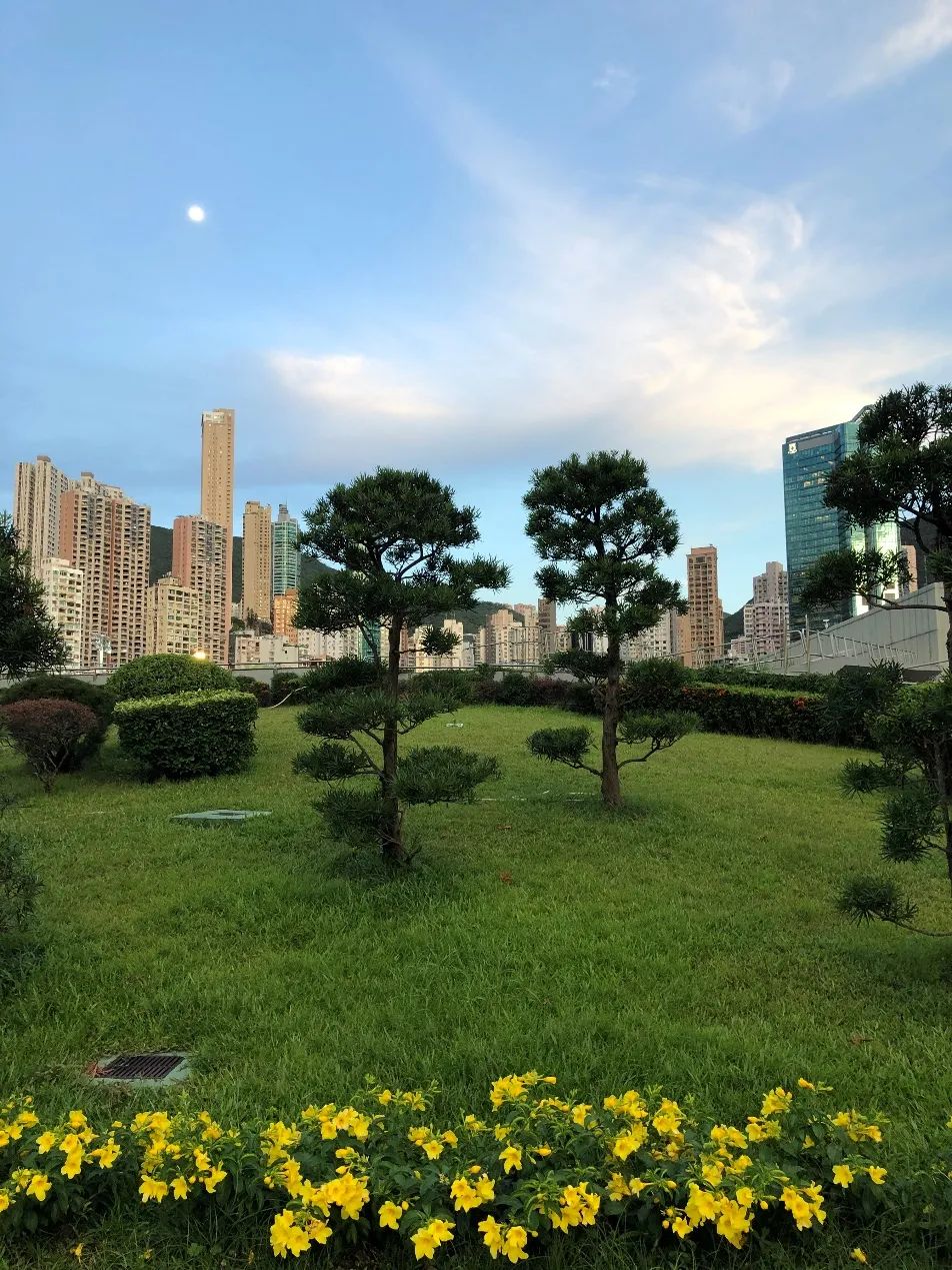 香港赛马会介绍,香港赛马会沙田马场