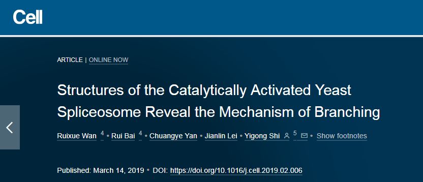 施一公与徒弟颜宁,施一公徒弟颜宁