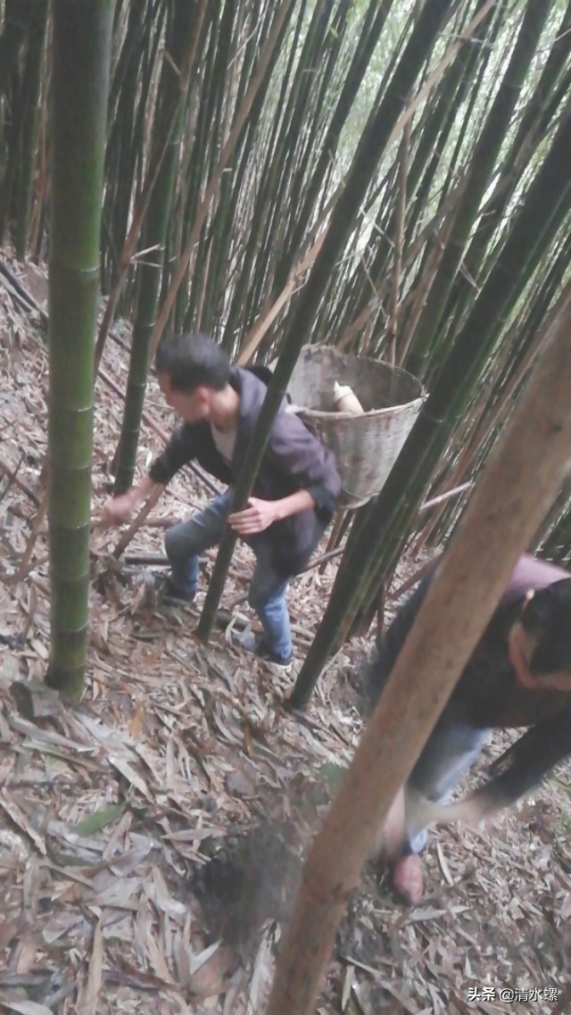 春日美食家正宗的糖蒜,春日美食家吃硬菜