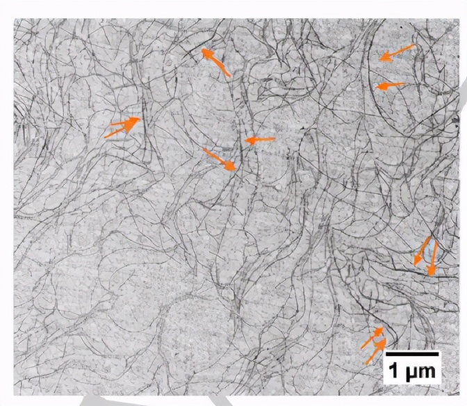 《Angew》混合淀粉样蛋白的氧化还原水凝胶用于生物电催化H2氧化