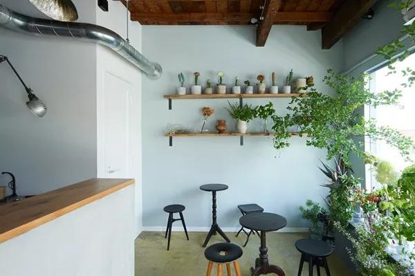 日本青山花店,日本花店推荐