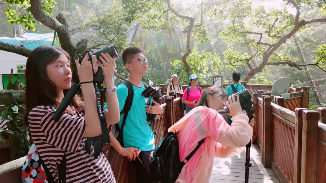 全国青少年科学影像节一等奖作品,全国科普作品征集