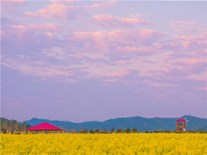 福建千年古树,福建千年古树出现神秘小洞