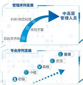 500强年薪多少钱,五百强年薪是多少
