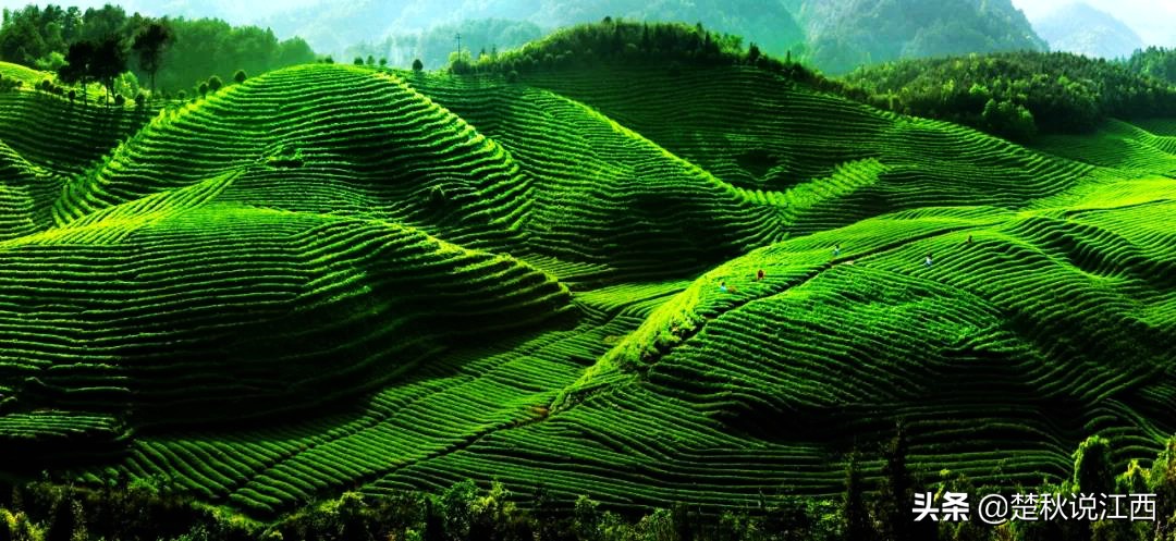 上饶属于市吗,上饶算是一个旅游城市吗