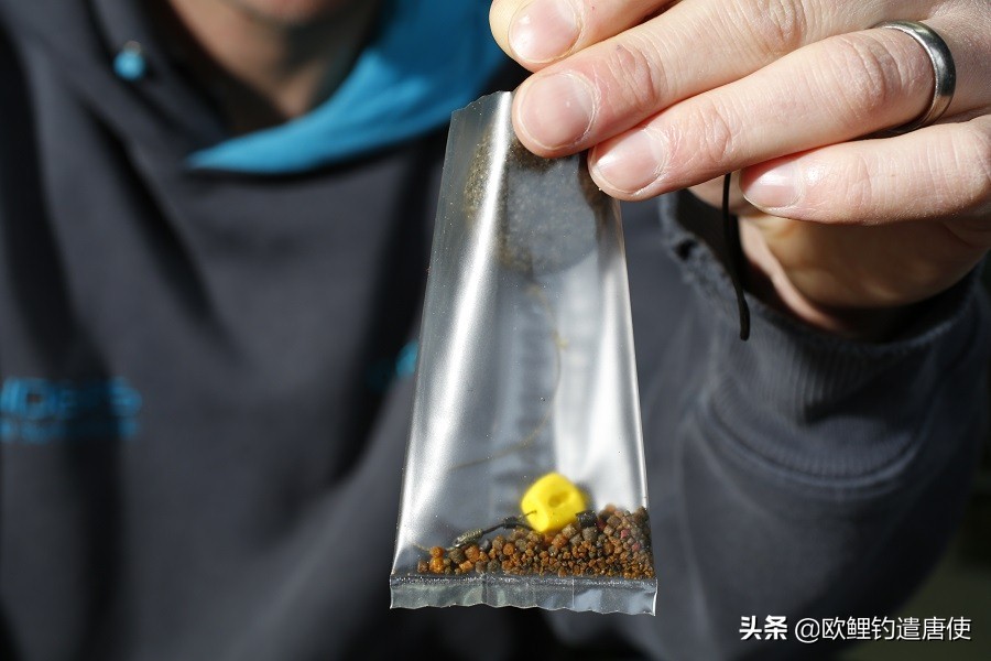 老外钓鱼打窝,老外打窝钓鱼视频大全