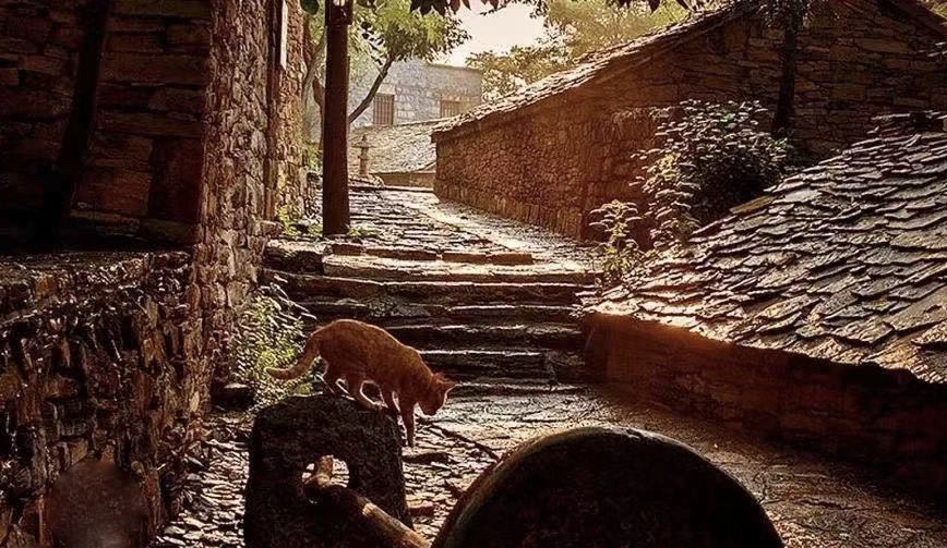 发现婆家人都很阴暗怎么办,发现婆家算计自己怎么办