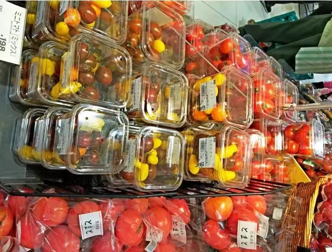 日本精致的日常生活 (日本的精致日常生活)