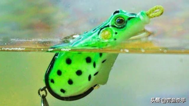 雷强钓黑鱼技巧教学视频,雷强钓黑鱼用什么饵