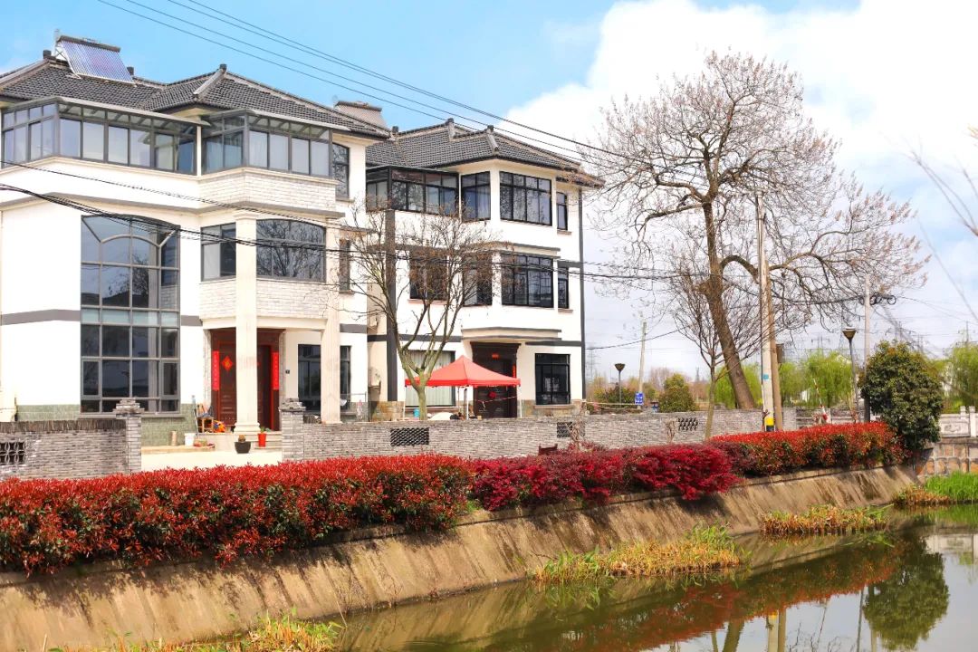 苏州的农村风光,苏州水乡农村风景