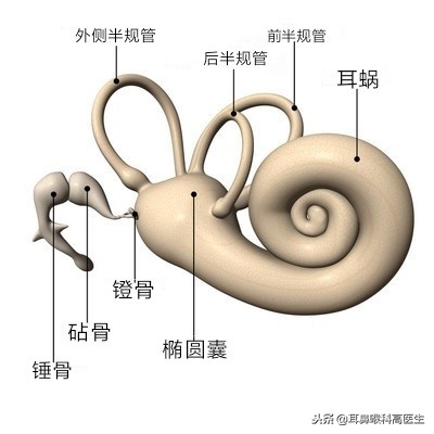 翻身都晕是怎么了,来回翻身后头晕怎么回事