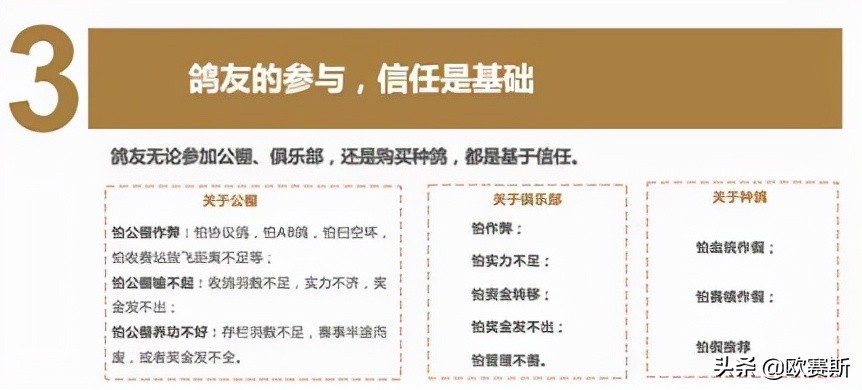 品牌战略*局破**必备的七种*器武**