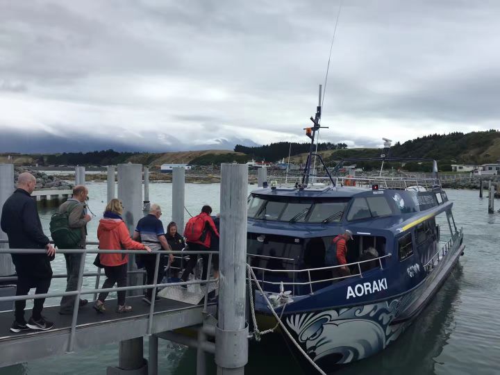 超好用的新西兰自驾攻略（二）——凯库拉