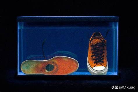 vincestaples鑸炶箞,vincestaples涓撹緫