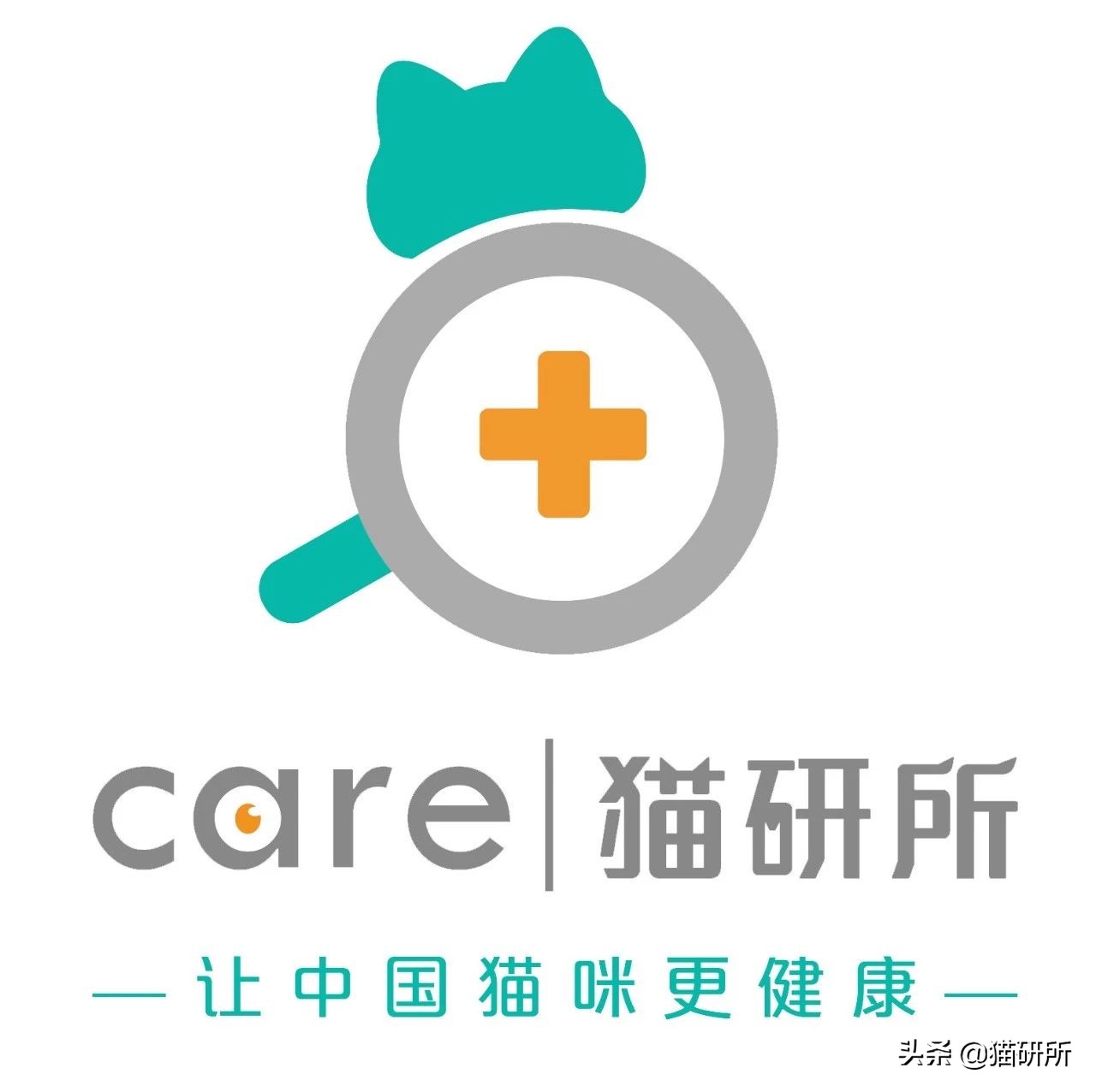 养猫好还是养狗好玄学,玄学上养猫有什么影响