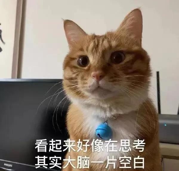猫咪泌尿系统有问题怎么治,猫咪容易患的疾病如何治疗和预防